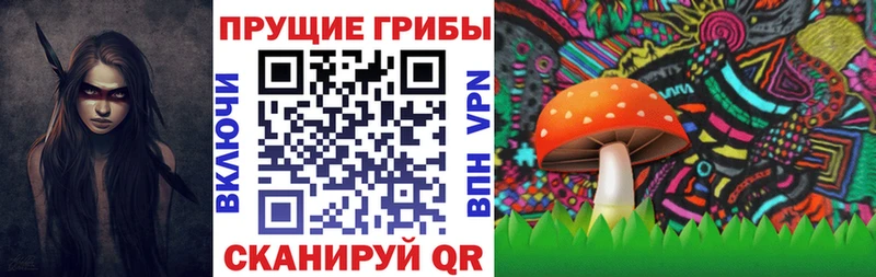 Купить  Палласовка  Галлюциногенные грибы прущие грибы 